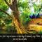 Atha Safari Resort & Riverside Camping - Udawalawe