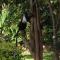 Marula Park