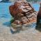 CASA MUGHETTO R5055 seafront, private sea access, swimming pool