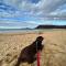Ally’s Umina Oasis, pet-friendly spa coastal oasis