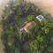 Green Mansions Jungle Resort - Sauraha