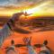 Sahara traveling camp - Merzouga
