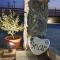 Onar Luxury Villa - Adults Only