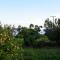 K vineyard house