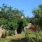 Apartment Orebic 10097a