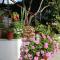 Apartment Viganj 10140b