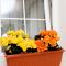 Apartment Viganj 10140b