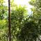Apartment Viganj 10140b