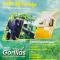 Gorilla Hills Eco-lodge