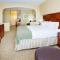 Holiday Inn Express & Suites Denver Airport, an IHG Hotel - Denver