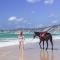 Rainbow Beach Dream