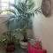 Bhuman Homestay