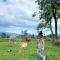 Bhuman Homestay