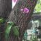 1620 - 5-Room Apt. with Pool & Gardens , Near Downtown