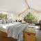 Under Canvas Glacier - Coram