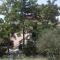 Apartments with a parking space Gradac, Makarska - 13196 - Gradac