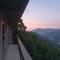 Deishaview Jungle Hostel