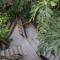 Deishaview Jungle Hostel