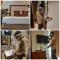 Royale Retreat Hotel & Spa Near Mall Road
