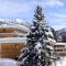 Au pays des marmottes Appartement 6 personnes plein sud sans vis à vis avec terrasse