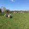 Red Kite Barn