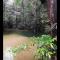 Mulu Homestay