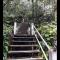 Mulu Homestay