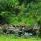 Hidden Valley Hill View Cottage Vagamon by VOYE HOMES