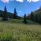 Chalet au ayes