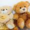 Afiniti, 2 min walk to legoland and Gleneagles Hospital By Hint Homestay - 努沙再也