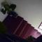 Apartments Nera