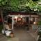 Seaside holiday house Sucuraj, Hvar - 15141