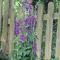 Wellington Farm Devon near sidmouth beach & AONB- dog friendly