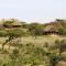 Elewana Lewa Safari Camp - Meru