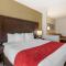 Comfort Suites Ontario Airport Convention Center