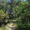 Apartment Valun 386a