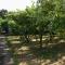 Double Room Trpanj 250a