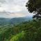 Hakuna Matata Glamping timon