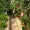 Apartment Mandre 523a
