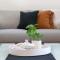 The White Belle The Best of Fannie Bay Living