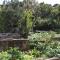 Apartments by the sea Polace, Mljet - 613