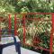 Apartments and rooms with parking space Lovran, Opatija - 2341 - Lovran
