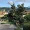 Apartment Vis 2428c - Vis