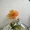 Sunnyside Aparthotel Tropical suite, 10 min from Blackpool tower, outside space