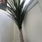 Tropical Apartment, 10 min from Blackpool tower, outside space, sleeps 12 - Blackpool