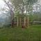 Hakuna Matata Glamping timon