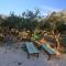Holiday house with a parking space Bol, Brac - 2894