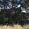 Apartments with parking space Bol, Brac - 2884