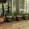 Los Olivos Loft