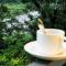 Misty Range Resorts , Marayoor